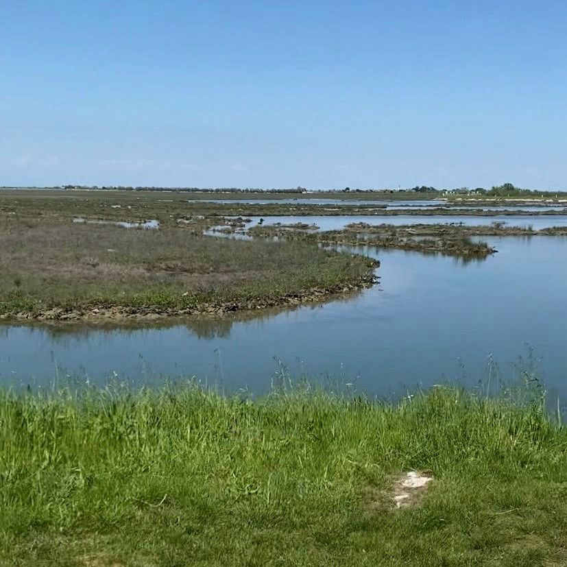 Vista Laguna e Venezia dalla strada per Lio piccolo